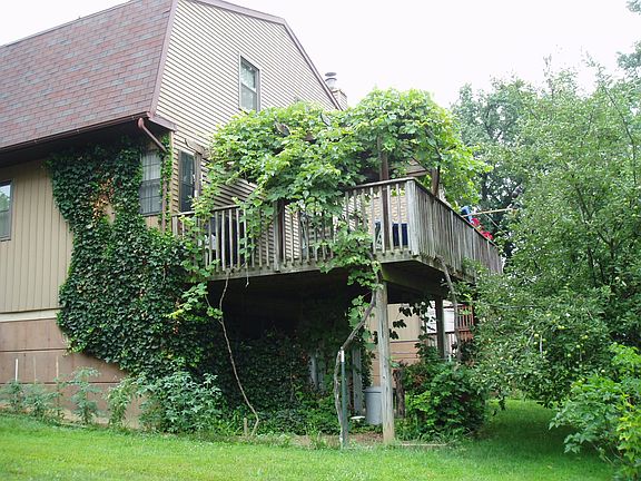 Back of the house