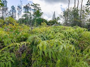 16-2087 Rainbow Dr LOT 35, Pahoa, HI 96778