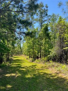 0 SW 9th Ter, Otter Creek, FL, 32683