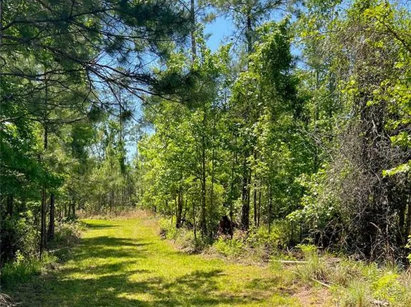 0 SW 9th Ter, Otter Creek, FL 32683