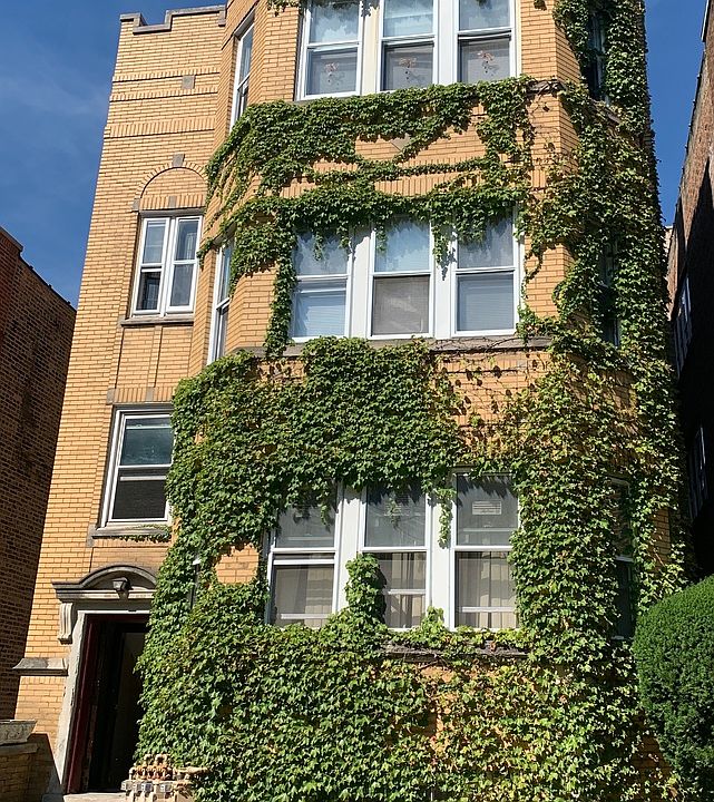 1st image of 7734 S Cornell Ave