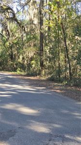 1431 Mentionville Rd SW, Darien, GA, 31305