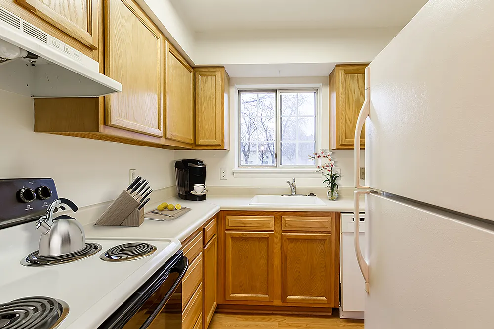 Elmwood Terrace Apartments and Townhomes — Photo 1