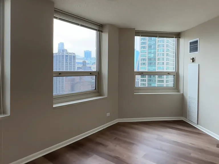 745 N Rush St #3203 — Photo 3