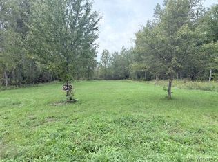 6790 Maple Rd LOT 58, Akron, NY 14001