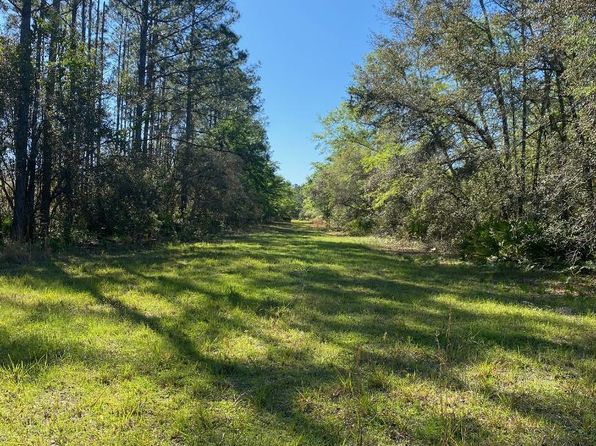 Mayo FL Land & Lots For Sale - 36 Listings | Zillow