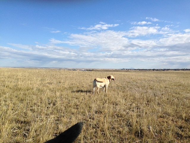 1st image of 2741 Valier Road Hwy 351 #150.8ACRES