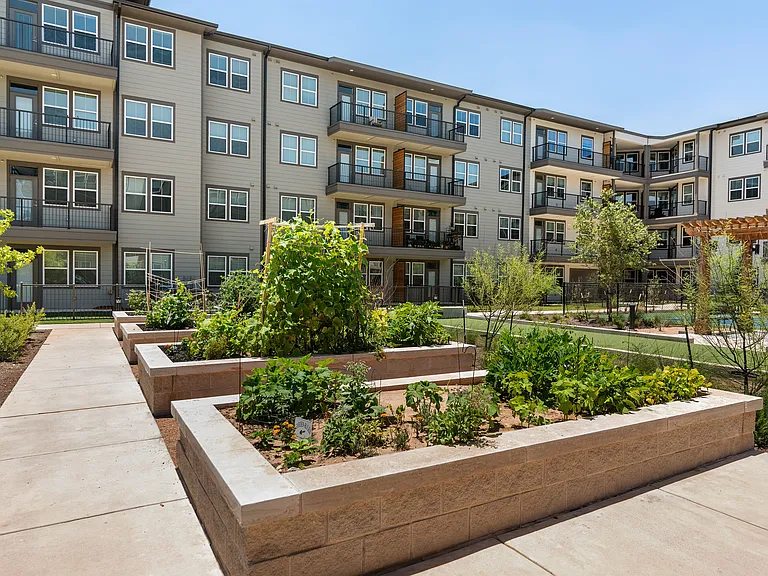 Amberlin Pflugerville 55+ Active Adult — Photo 21