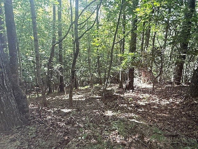 1st image of TBD Austin Taylor Road