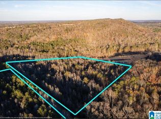 23 Acres Hwy #41-0, Altoona, AL 35952