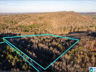 23 Acres Hwy #41-0, Altoona, AL, 35952