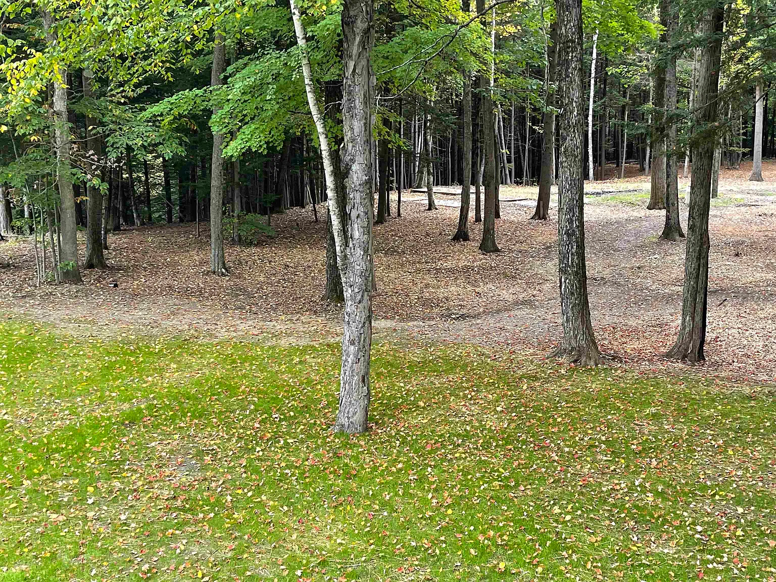 2 bed, 2000 sqft, $2,000 — Photo 3