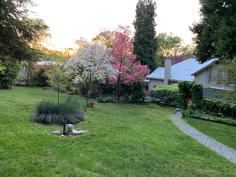 Front yard
