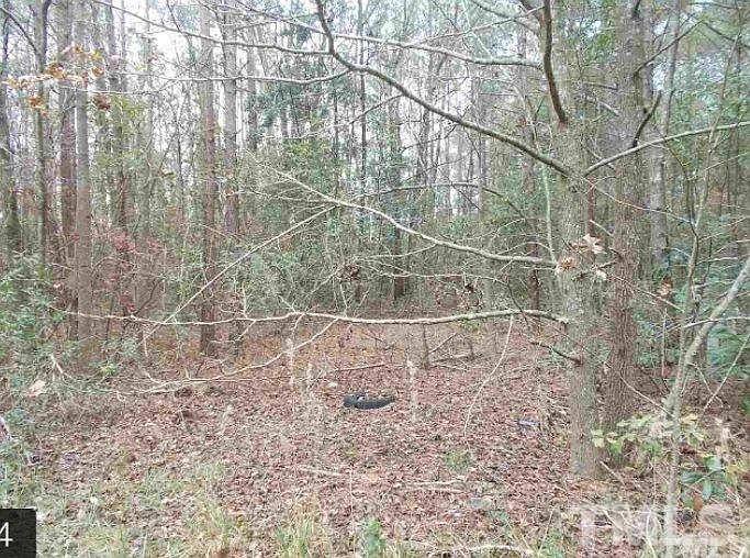 2nd image of 180 Deer Hound Dr
