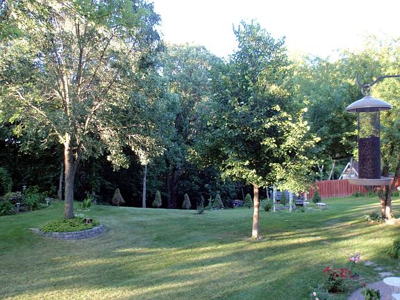 Beautiful Backyard!