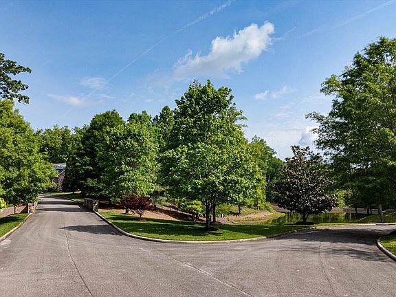 3rd image of 115 Tremolat Ln