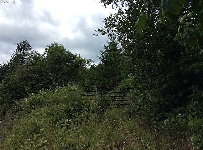 2nd image of 0 Yale Bridge Rd