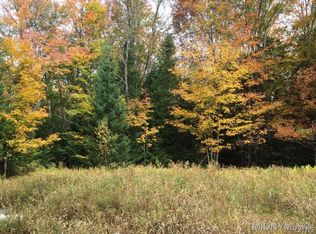 154 Spall Rd S, Remsen, NY 13438