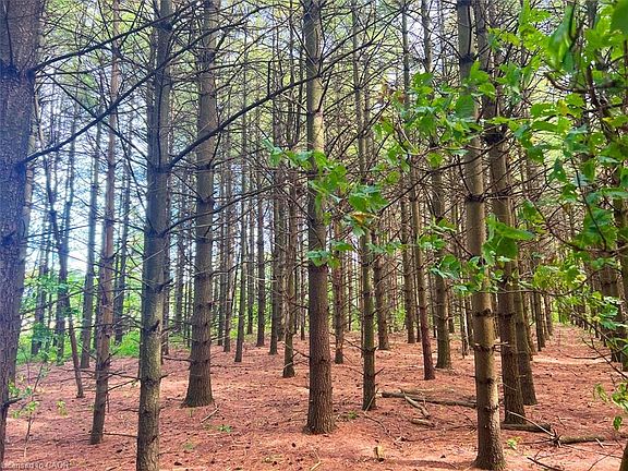 3rd image of 0 Mountsberg Rd