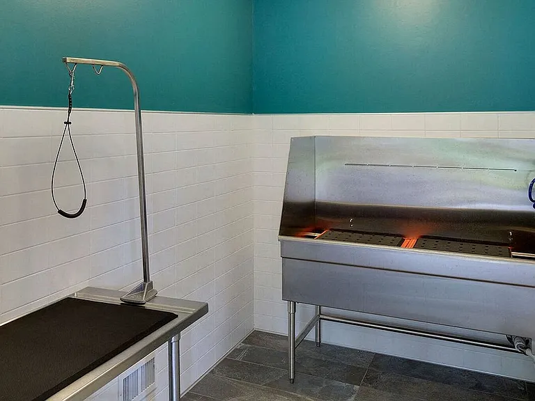 Eden Commons — Photo 20