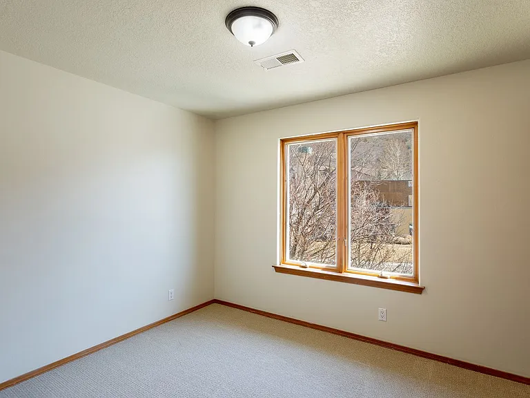 106 Pinnacle Pl — Photo 9