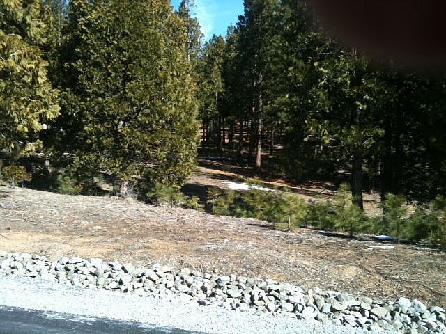 2nd image of 97 Arrowleaf Rd
