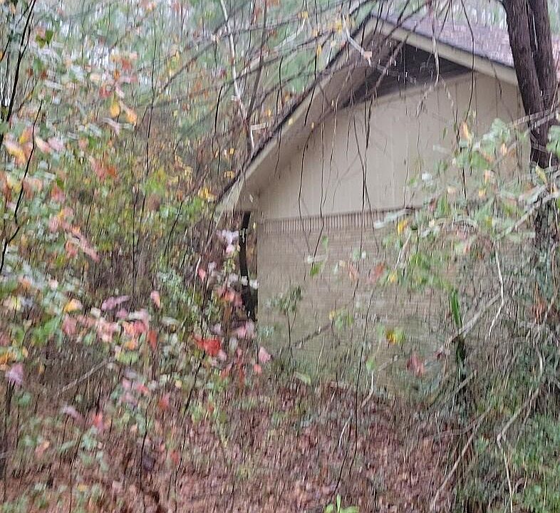 183 Rosewood Ln, Silas, AL 36919 Zillow