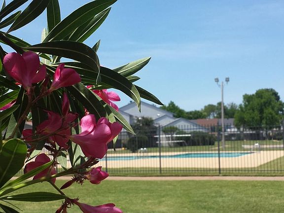 Pool & tennis courts