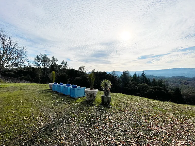 24401 Rich Ranch Rd — Photo 21