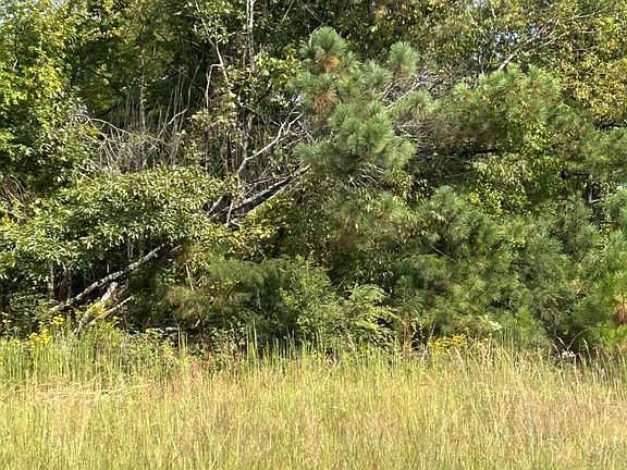 5th image of 0 Old Powerline Rd NE