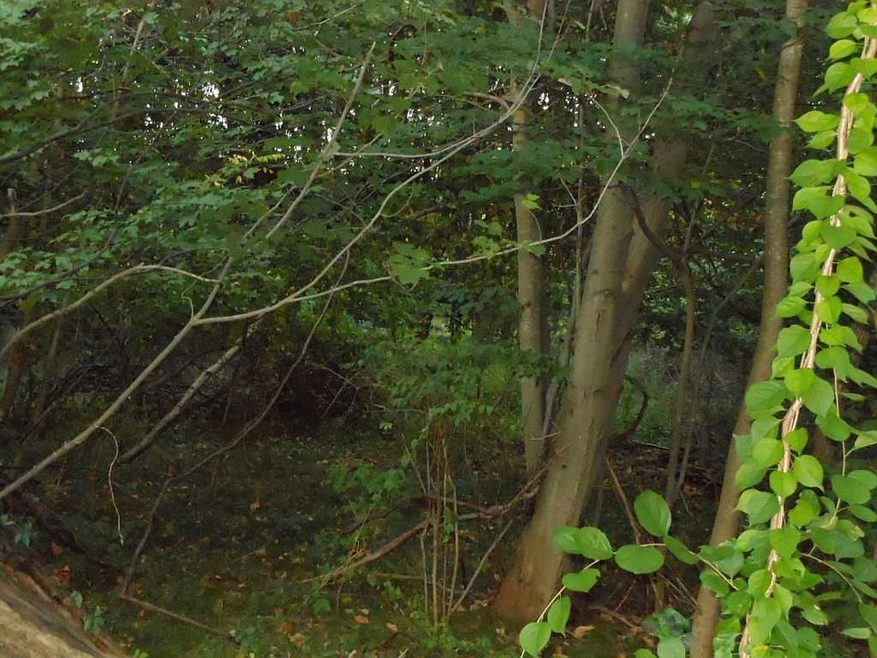 2nd image of 339 Westchester Rd
