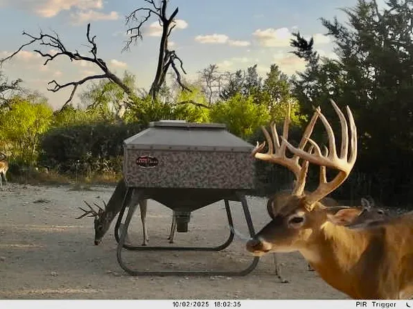 267 County Road 112, Goldthwaite, TX 76844