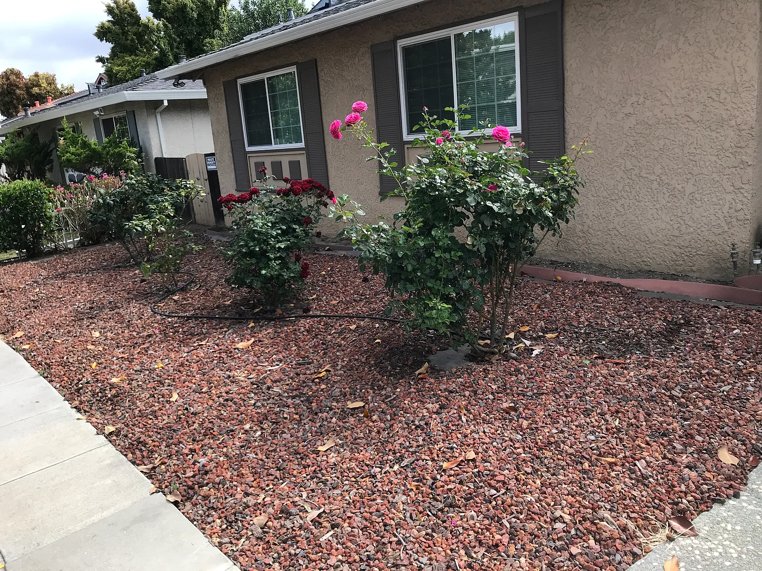 3 bed, 1301 sqft, $3,700 — Photo 2