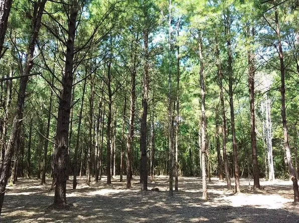 TRACT D Barber Rd #C, Franklinton, LA 70438