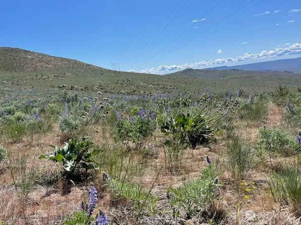 0 Lot 59 Bill Shaw Road, Pateros, WA 98834