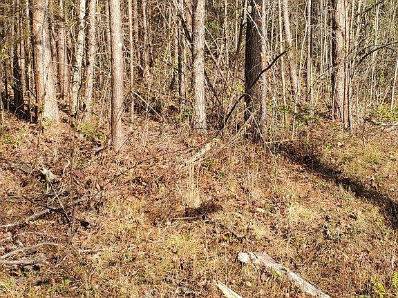 2nd image of LOT One Kingwood Cir #D