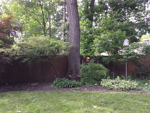 Mature trees in yard