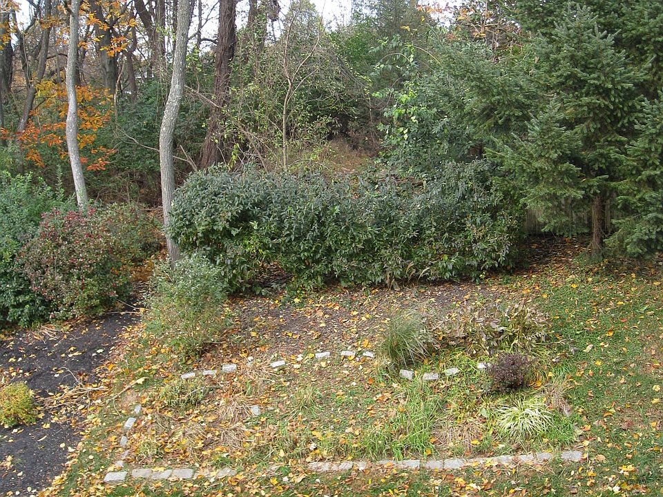 2nd image of 544 Cork Cir