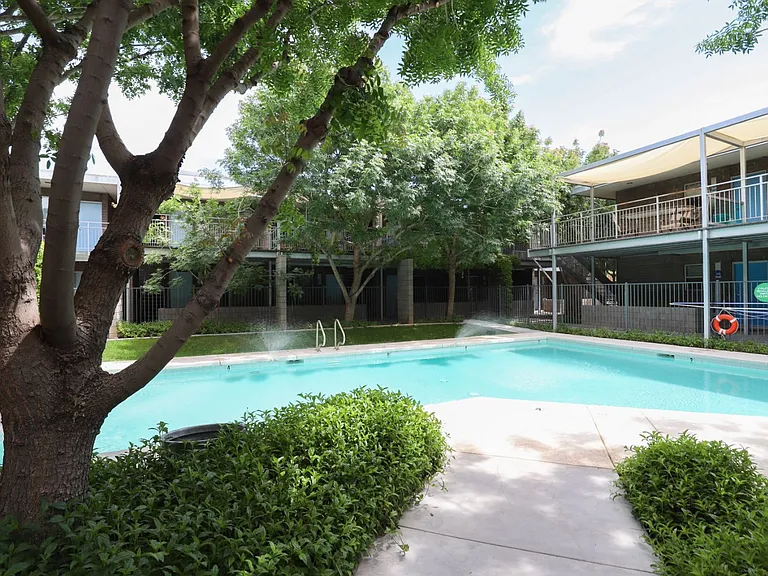 Pool & Pool Patio