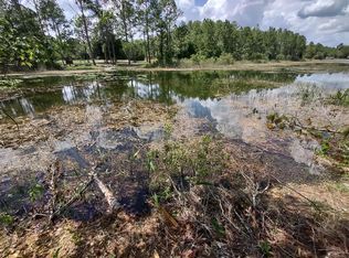 LOT 46 Otter Dr LOT 46, Dade City, FL 33523