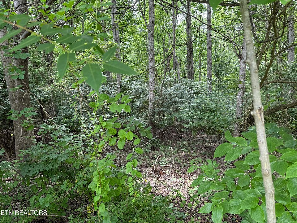 2nd image of Lollar Dr