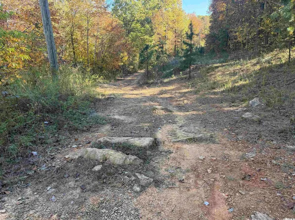 1919 Peyton Mountain Rd, Dennard, AR 72629