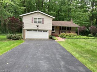 9015 Forest Ln, Chesterland, OH 44026