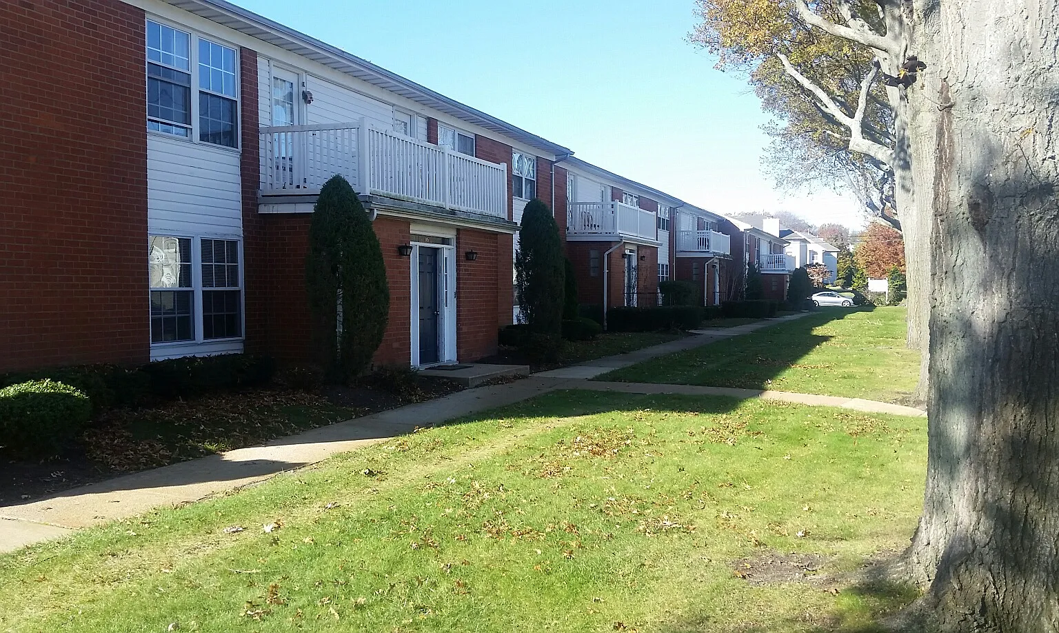 Hampshire Terrace — Photo 4