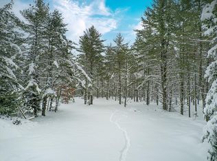 On Zeman Rd, Eagle River, WI 54521