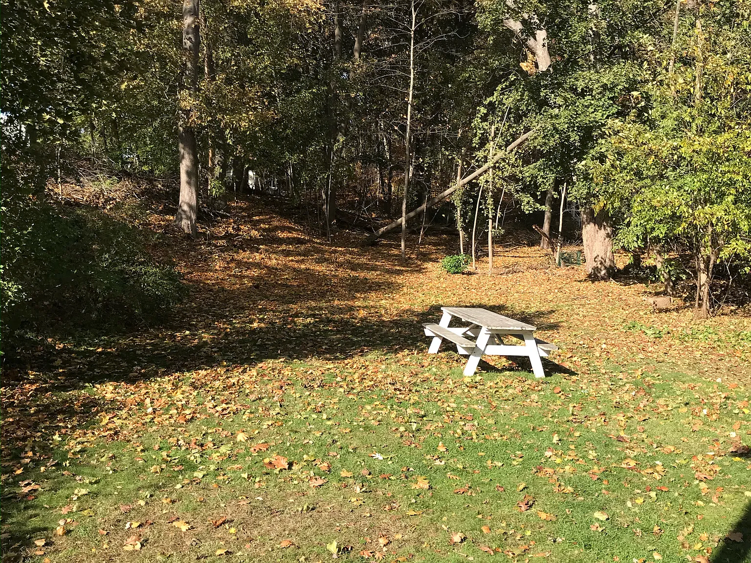 1 bed, 700 sqft, $1,850 — Photo 2