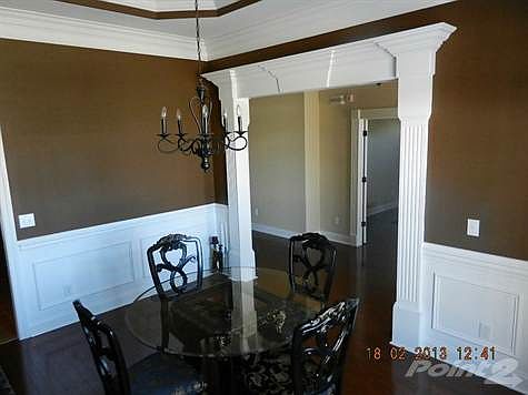 Beautiful detailed moulding