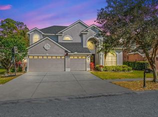 11664 Renaissance View Ct, Tampa, FL 33626