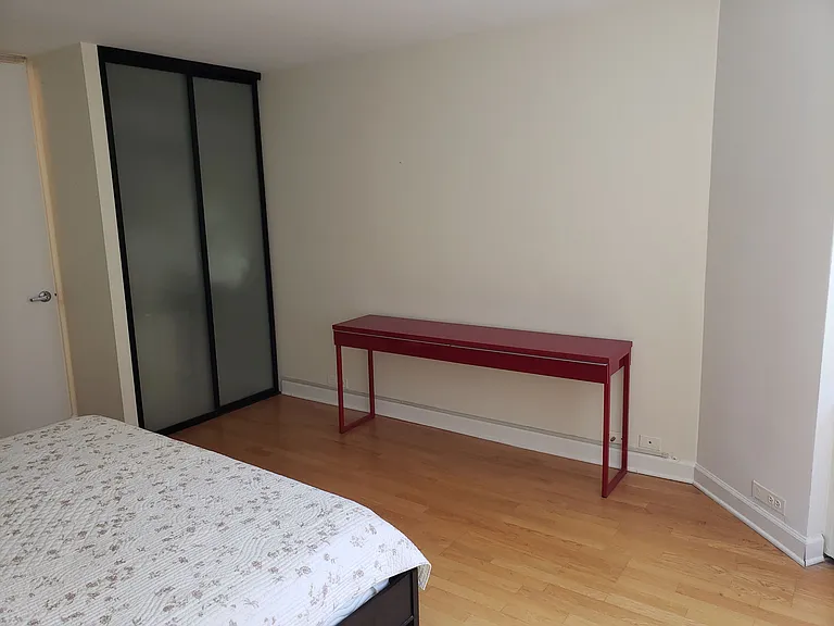535 N Michigan Ave #1508 — Photo 20