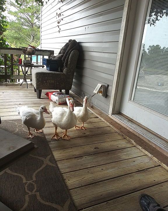 Welcome Home!
